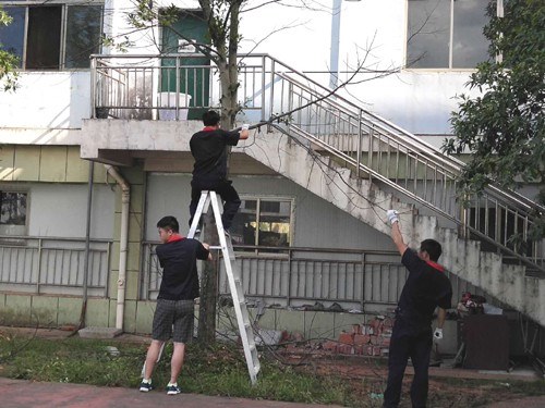 开展义务劳动 彰显党员风采
