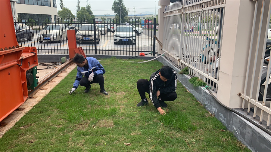 图片33.png